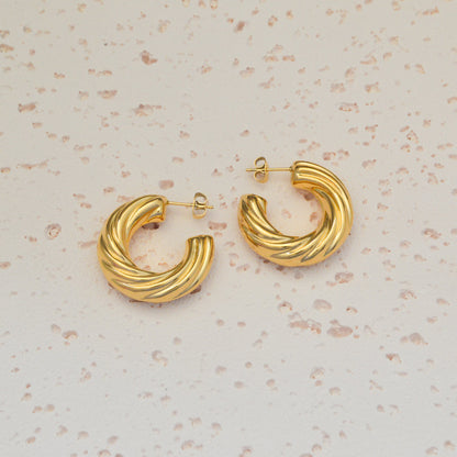 Spiral Ear Rings