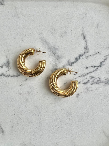 Spiral Ear Rings