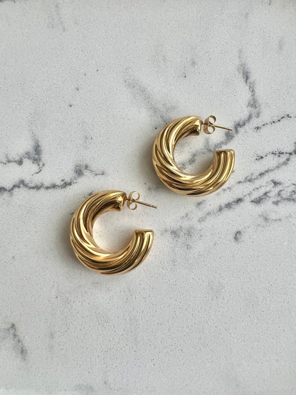 Spiral Ear Rings